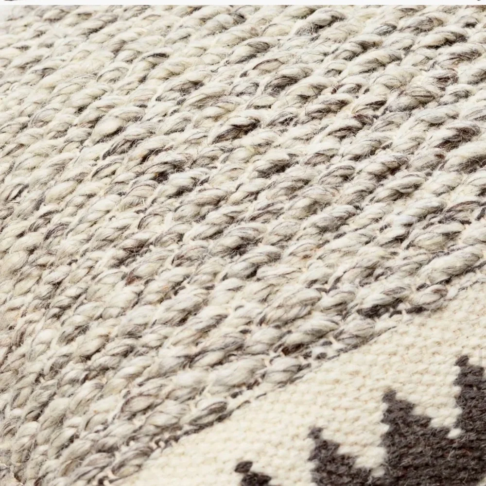 Indoor Outdoor Pillows from Wayfair with Cases and Down Pillow inserts (2 avail)